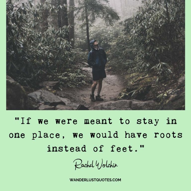 if-we-re-meant-to-stay-in-one-place-wanderlust-quotes